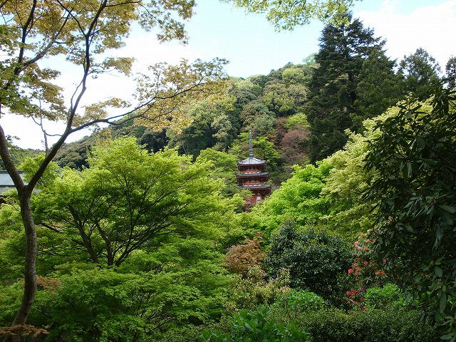 三室戸寺08