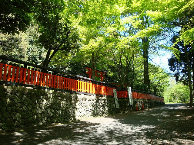 天王山ハイキングコース05