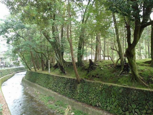 京都一周トレイル西山02