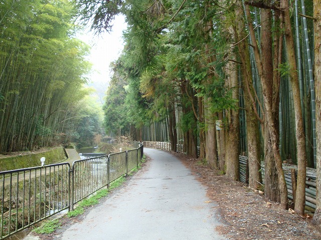 京都一周トレイル西山03