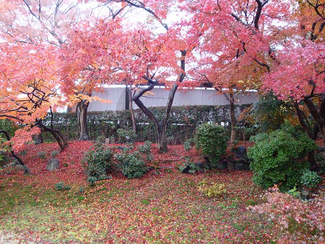 吉井勇寓居の地08