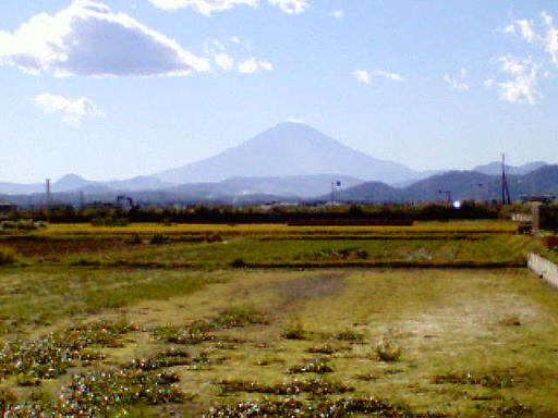 富士山