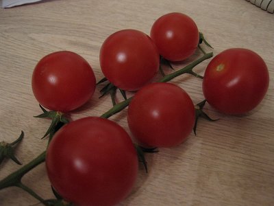 tomato