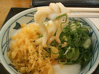 udon