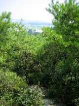 うっそうとしている