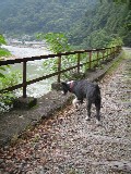 砂利道は歩きにくい。。