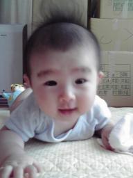 段ボールまみれ