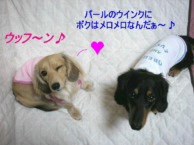 レオン、パールのウインクにメロメロ