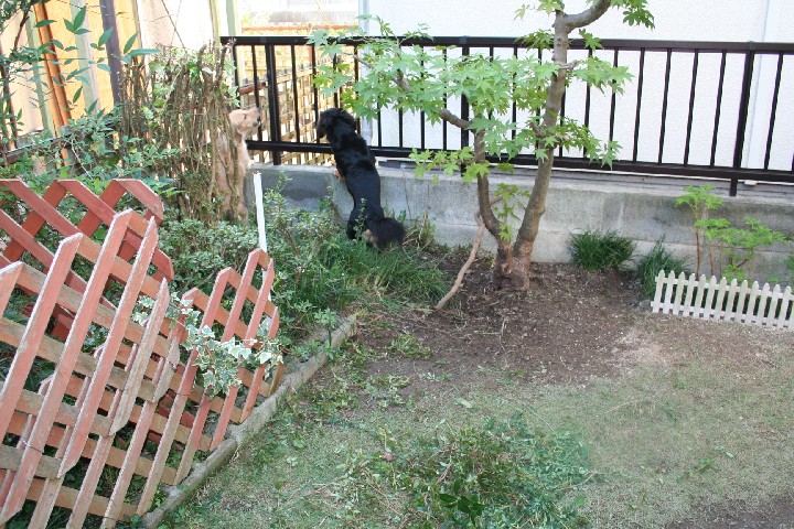 改装途中の別の角度