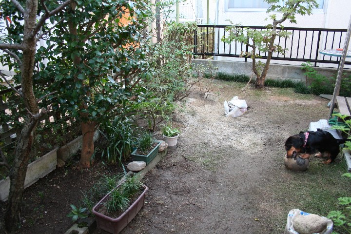 柵を取りました。