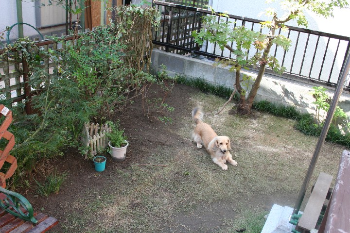 ブロックを取り除きました