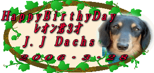 J.JさんよりレオンにB.Dカード