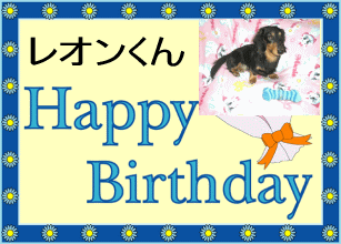 美豚さんよりレオンにB.Dカード