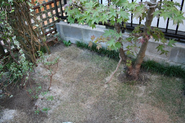 もうすぐ完成！