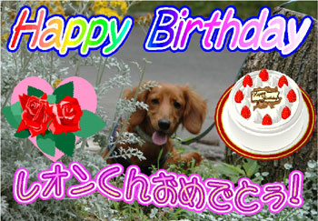 レオンのバースデーカード（ピースママさんより）