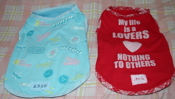 ラムリンシフォンさん作のＴシャツ