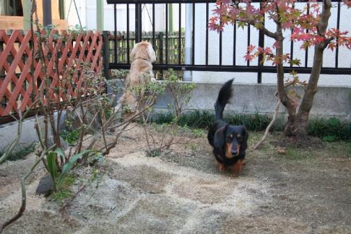 改装後の写真　１