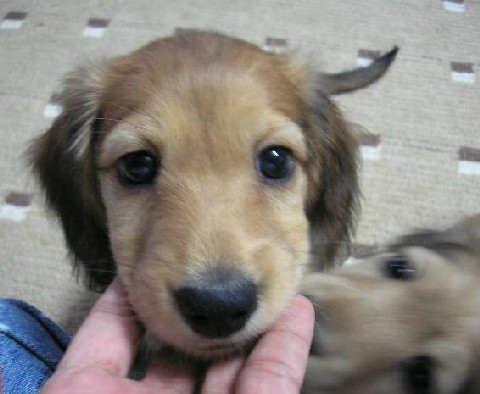 ナミちゃんの子