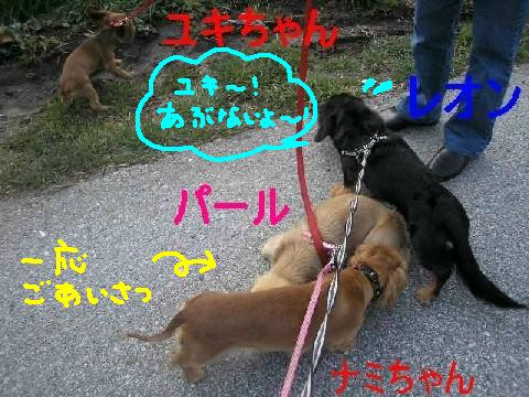 ドキドキの遭遇