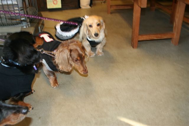 ぽ庵さんにて。２