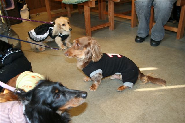 ぽ庵さんにて。３