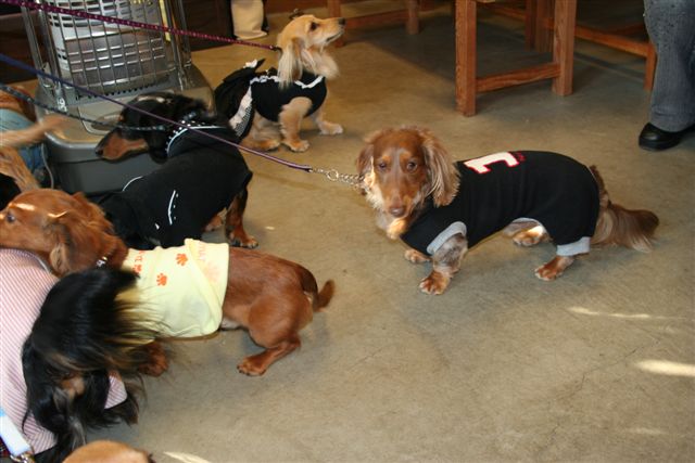 ぽ庵さんにて。４