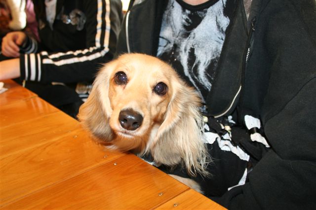 ぽ庵さんにて。パール