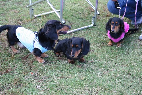 レオンはオフ会で友達作り