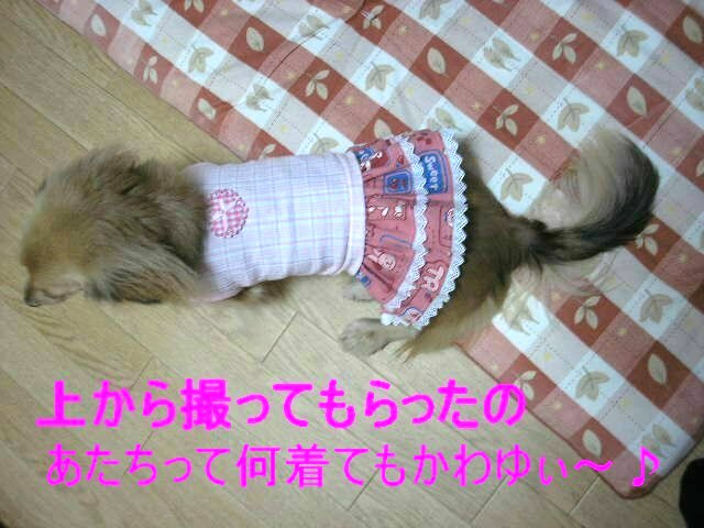 上から撮ったワンピ