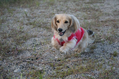 初オフ会のパール　２