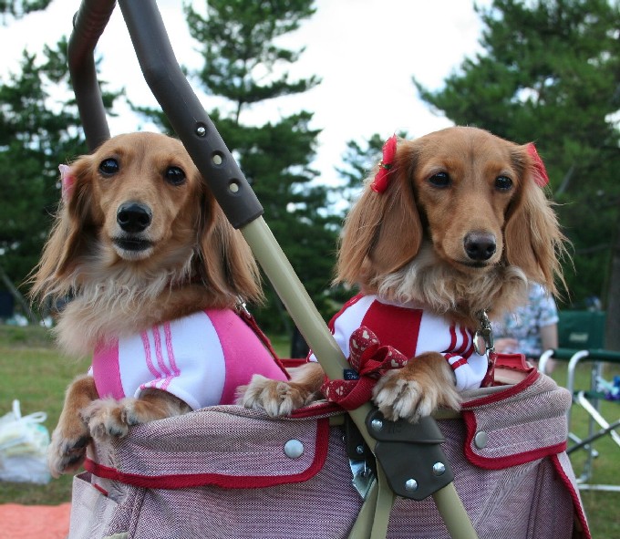 姫ちゃん＆愛ちゃん