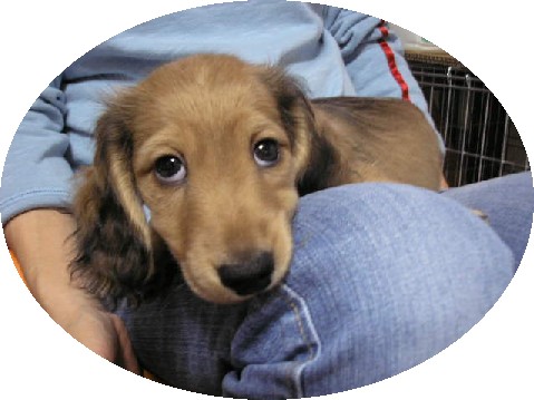 ナミちゃんの子　１