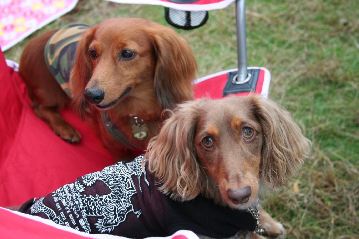 ヴィトン君＆どの子だっけ？