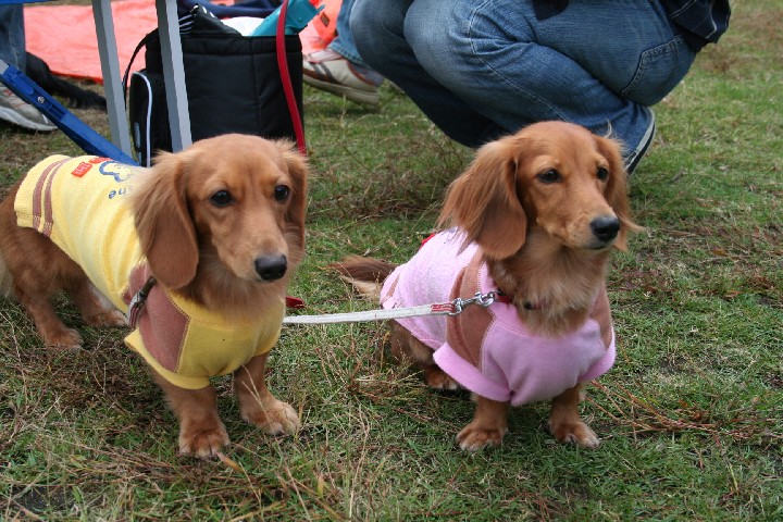 名前教えて下さいませ。