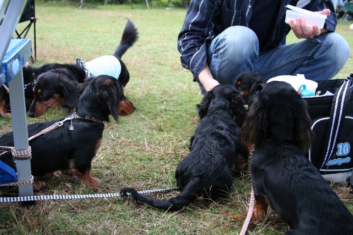 レオン＆ブラタン団