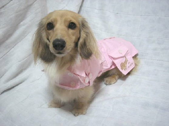 パール初めてのプレゼント服