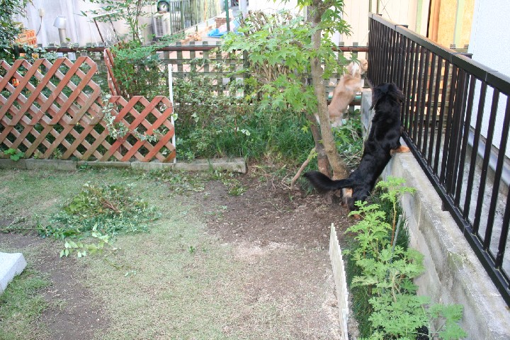 改装途中の写真　１