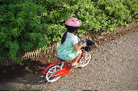 IMGP0147.JPG