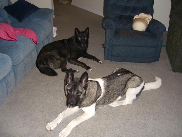 sam&max????