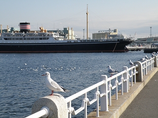 ２００９お正月・山下公園０３