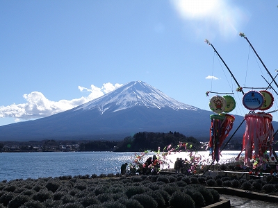 河口湖・大石公園にて