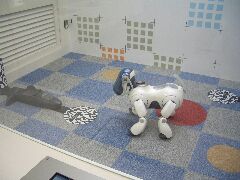 AIBOは戻っていきました。。