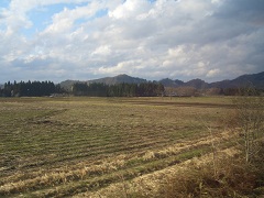 車窓の風景