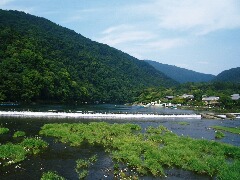 夏の嵐山