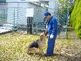 警察犬の訓練