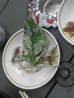 岩ちしゃてんぷら