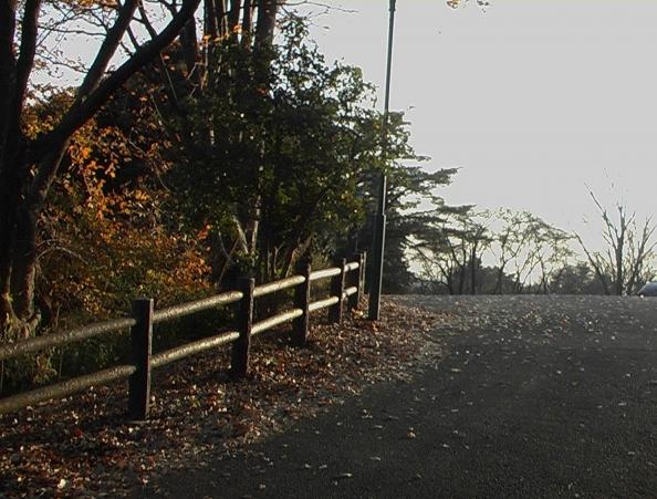 足利公園Ｓ３１