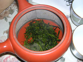 kyuusuha