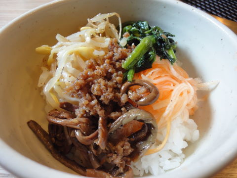 20100518_三水苑0002.JPG