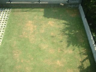 日照070923.1時半